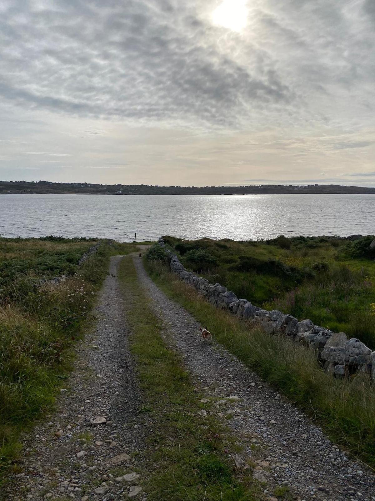 Tigh George * Lettermore